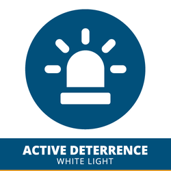 active deterrence white light