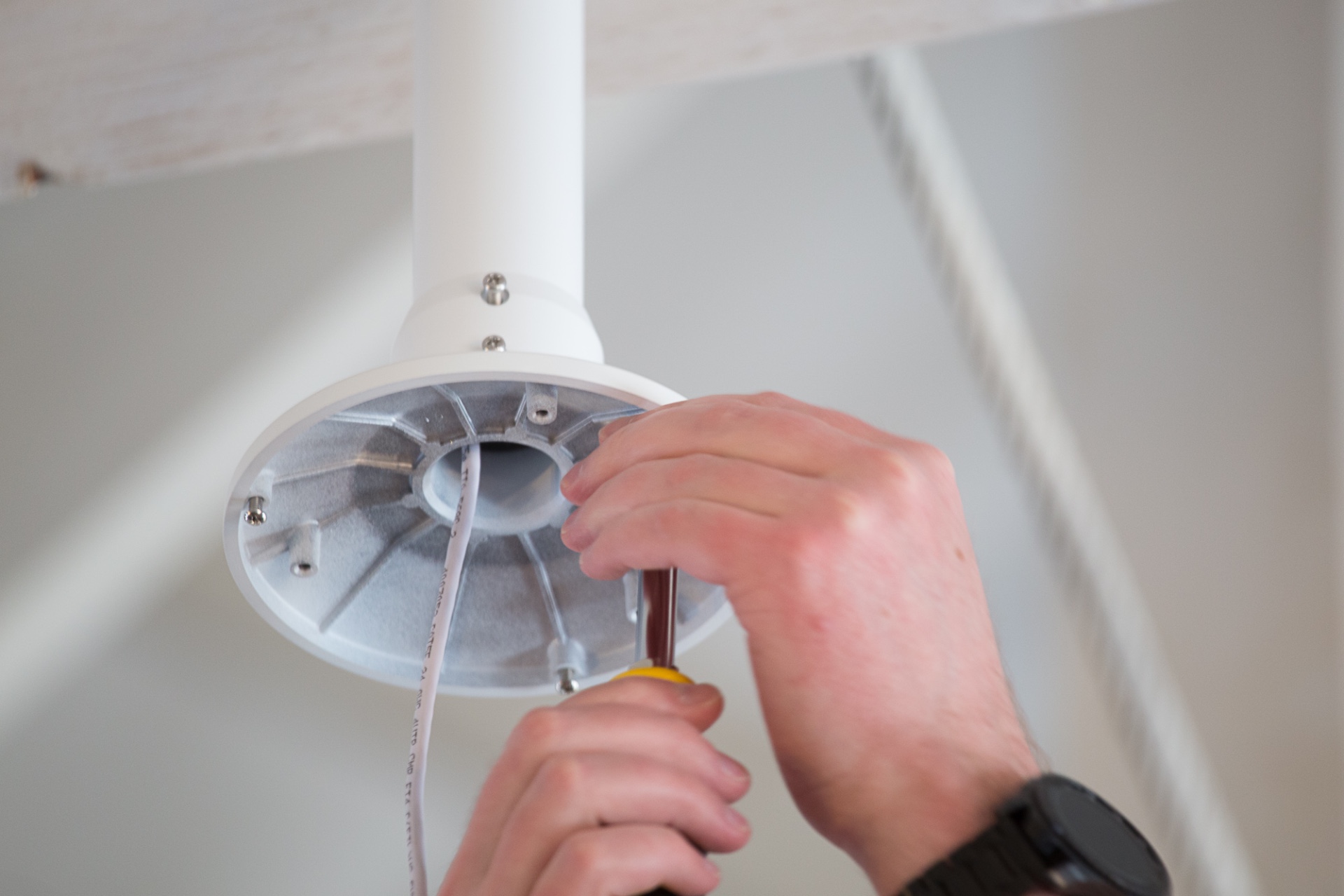 remove the base screws